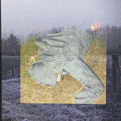 starfuckers cover art
