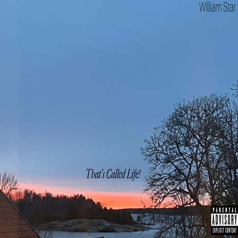 nothing but silence cover art