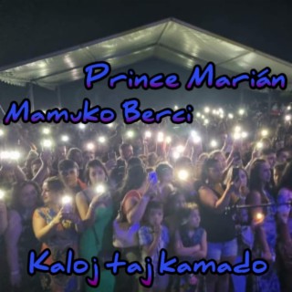 Kaloj taj kamado ft. Mamuko Berci cover art