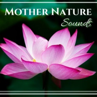 Mother Nature Sounds - Sea Waves Crashing & Ocean Ambience for Moments of Relaxation