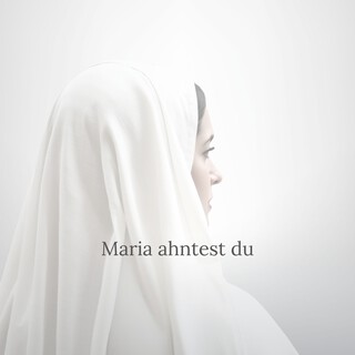 Maria ahntest du (Live)