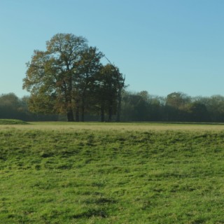 The Manor