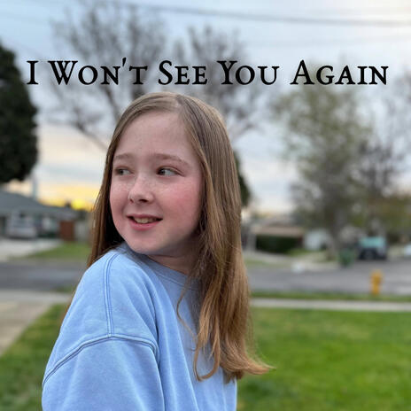 I Won't See You Again cover art