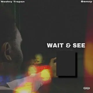WAIT AND SEE ft. Benzy cover art