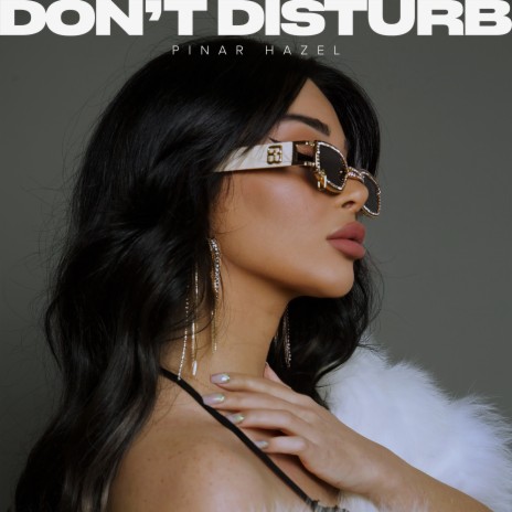 Don't Disturb cover art