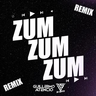 Zum Zum Zum (Remix 2025) ft. DJ Guillermo Atencio cover art