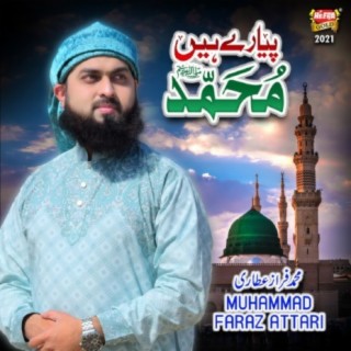 Muhammad Faraz Attari