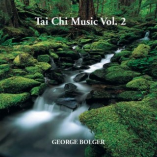 Taichi Music, Vol. 2