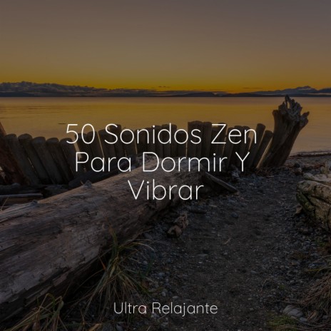Amanecer Contigo
