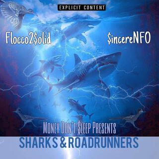 Sharks & Roadrunners
