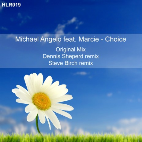 Choice (Steve Birch Remix) cover art