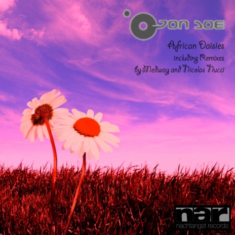 African Daisies (Medway Remix) cover art