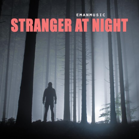 Stranger At Night cover art
