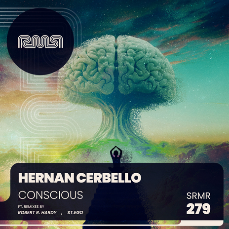 Conscious (Robert R. Hardy Remix) cover art