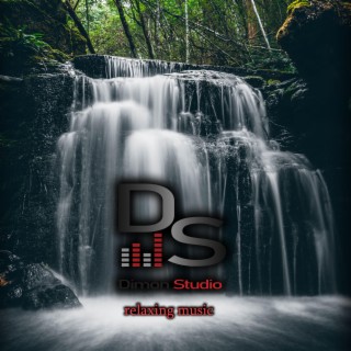 DimonStudio
