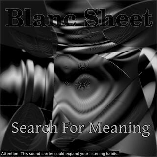 Search For Meaning