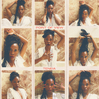 Point of View cover art