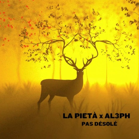 Pas désolé ft. AL3PH cover art
