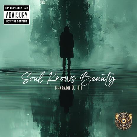 Souls Knows Beauty cover art