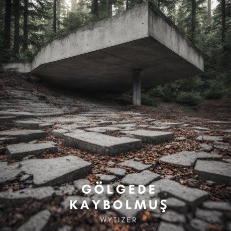 Gölgede Kaybolmuş cover art