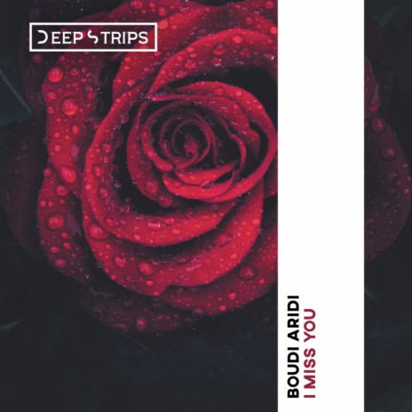 I Miss You (Original Mix)