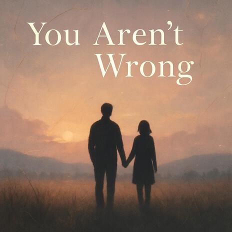 You Aren't Wrong (Extended Version) cover art