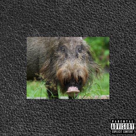 Banana Backwoods ft. Ste cover art