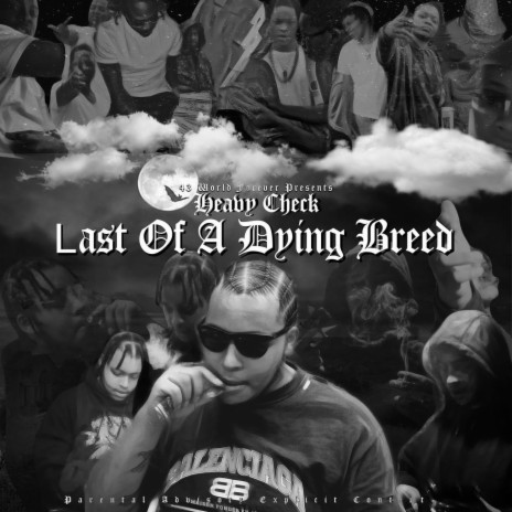 Last Of A Dying Breed cover art