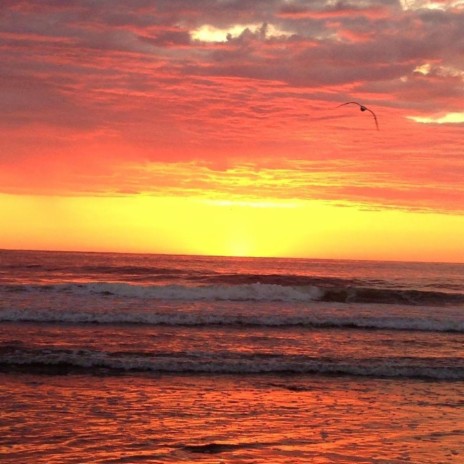 The Ocean