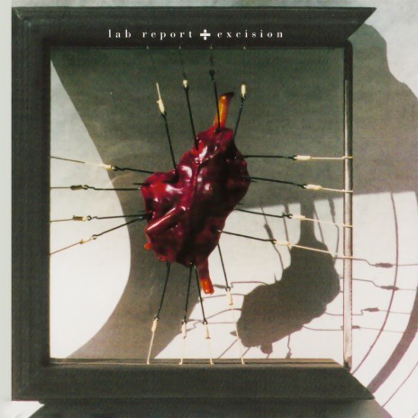 The Beginning Reinterpreted cover art