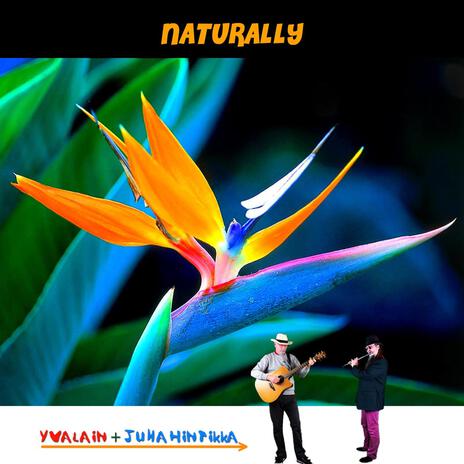 Daisies ft. Juha Hintikka cover art