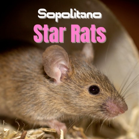 Full House cover art