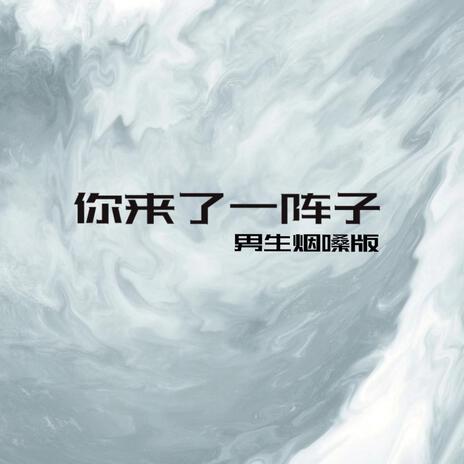 你来了一阵子(男生烟嗓版加速版) cover art