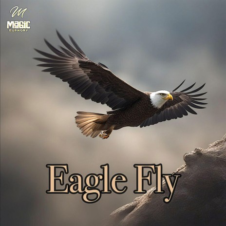 Eagle Fly cover art