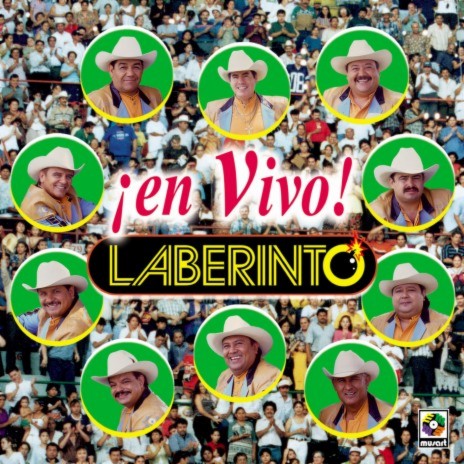 Buena Amiga (En Vivo) cover art
