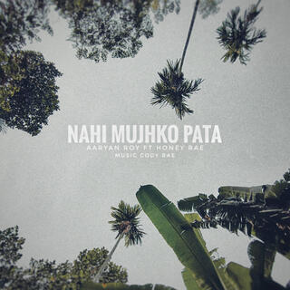 Nahi Mujhko Pata ft. Honey rae cover art