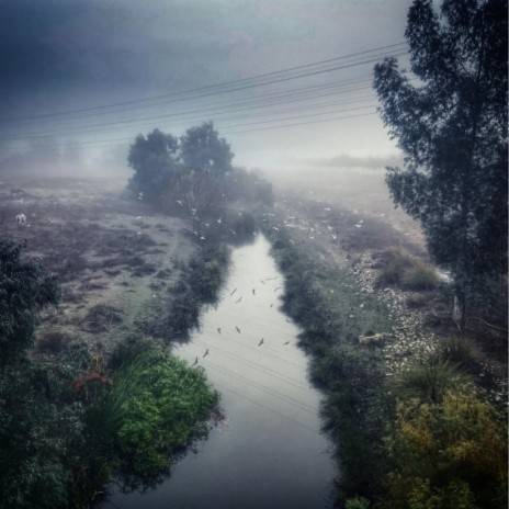Brazal cover art