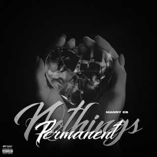 Nothing's Permanent (Deluxe)