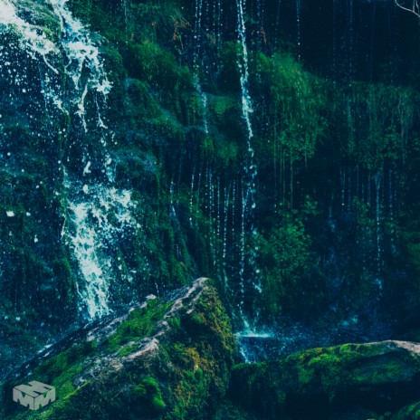 Moss cover art