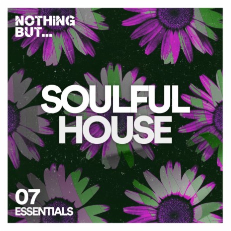 Something Special (Steal Vybe's Love Soulful House Mix) ft. Stephanie Renee cover art