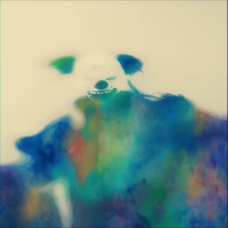 Hasan Asif