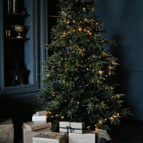 Home for the holidays cover art