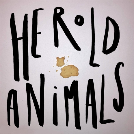 Animals cover art