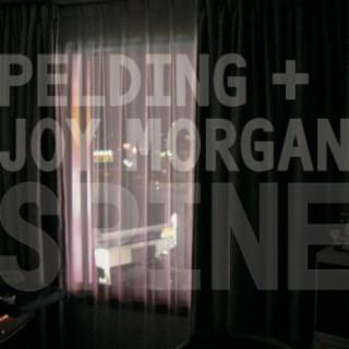Pelding