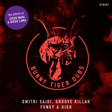 Funky & High (Diego Lima Remix) ft. Groove Killah cover art