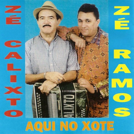 Forró com Briga cover art