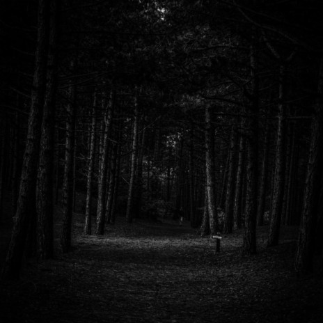 The Dark cover art