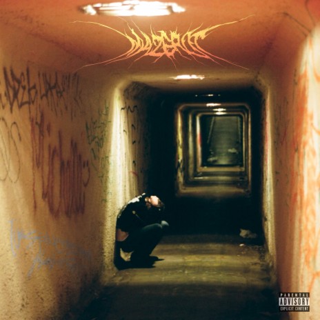 IVE BEEN GOING THROUGH ALOT OF SHIT cover art
