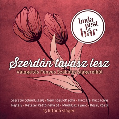 Köszi, Köszi cover art