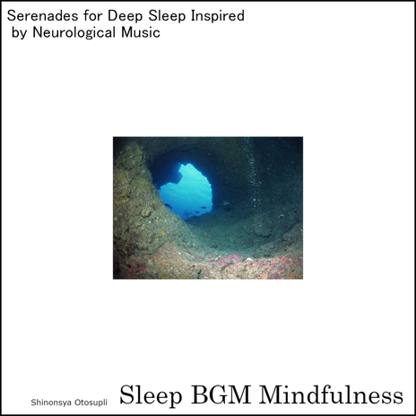 Tranquility Nurtured Through Deep Sleep Rhythms and Embrace cover art